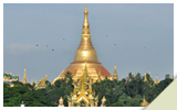 Shwe Dagon Pagoda View